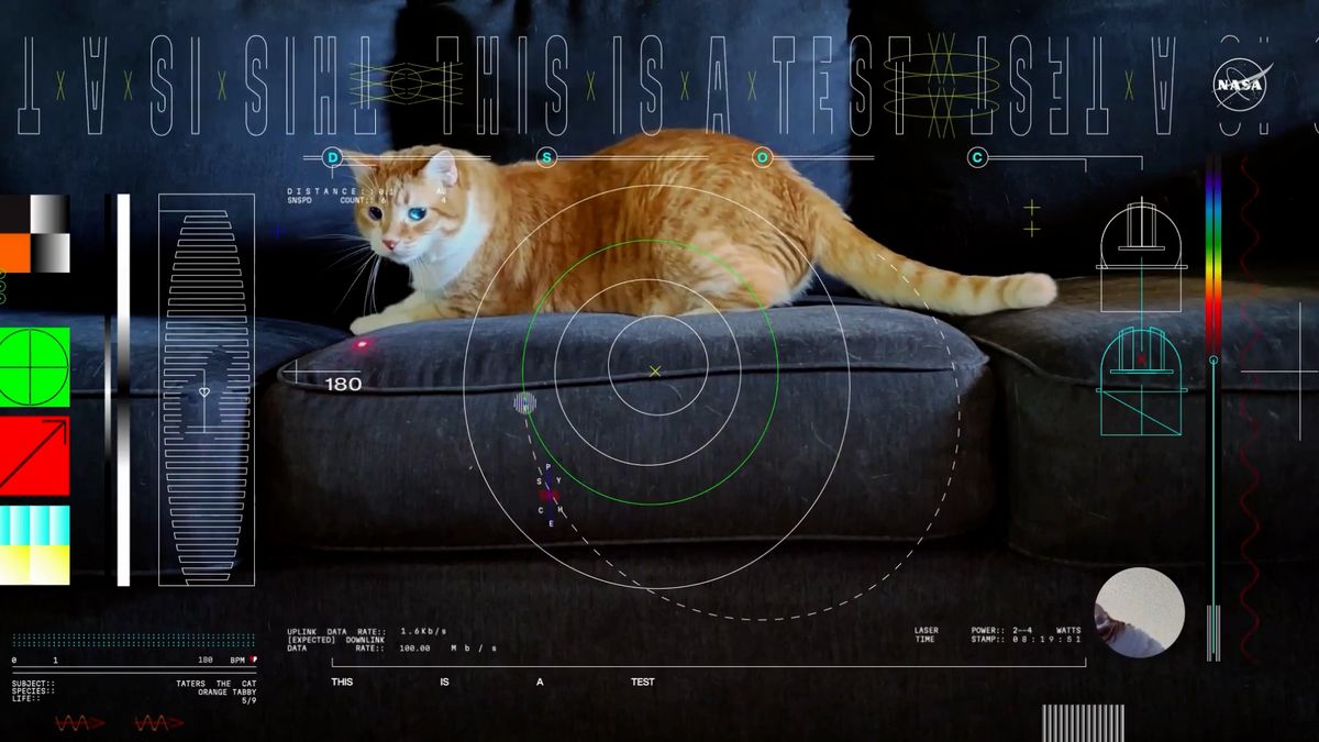Miliony kilometrů vzdálená sonda poslala laserem na Zemi video s hrající si kočkou